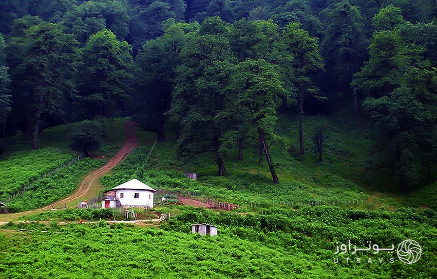 یک کلبه‌ی روستایی در فضای جنگلی روستای جنت رودبار در رامسر